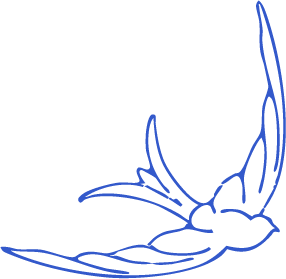 pajaro azul andrea loarte design studio